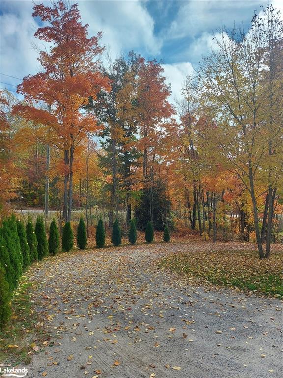 1507 Bonnie Lake Road Property Photo 37