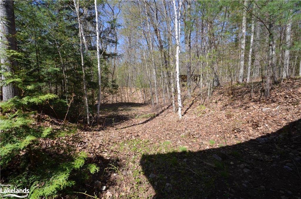 1034 Lisgar Trail N Property Photo 30