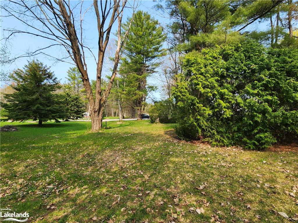 455 Wellington Street Property Photo 7