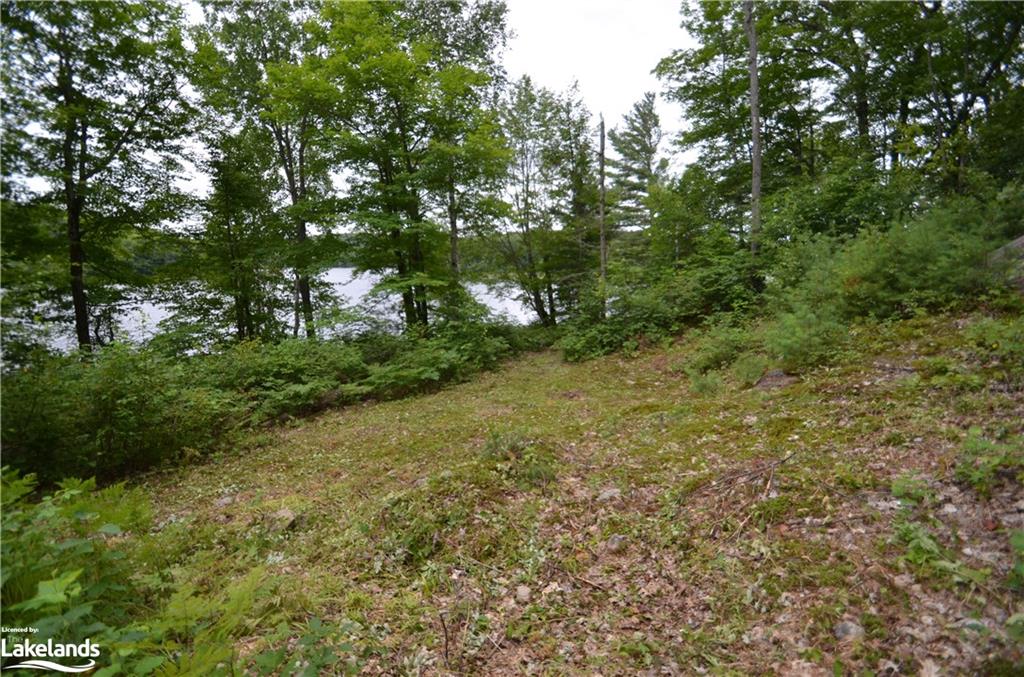 12091 Raven Property Photo 7