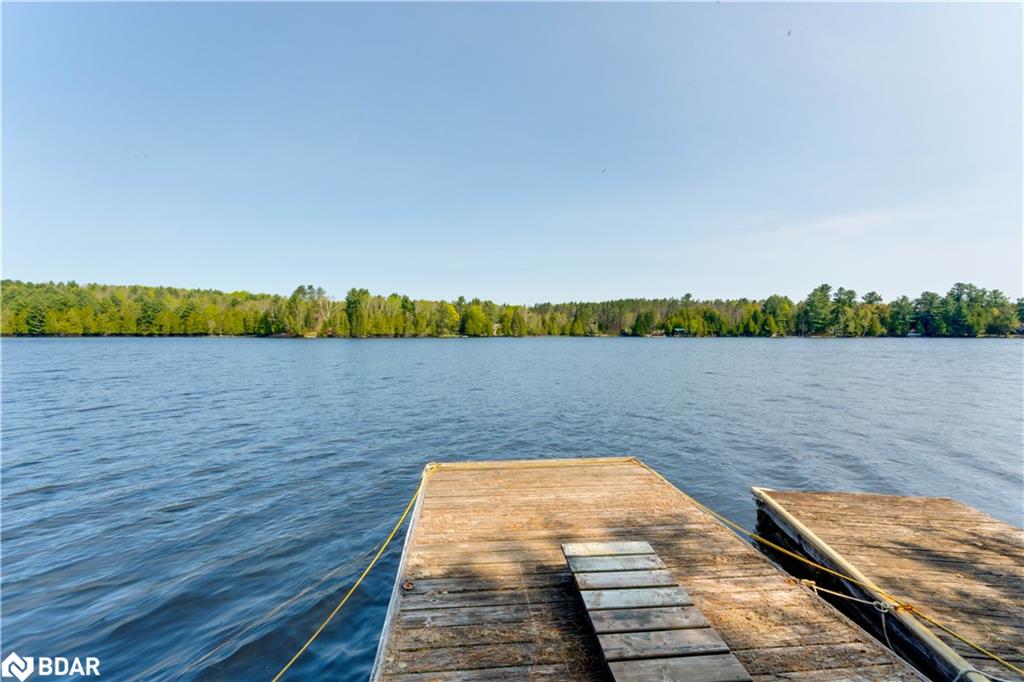 1293 Beaverdam Trail Property Photo 34