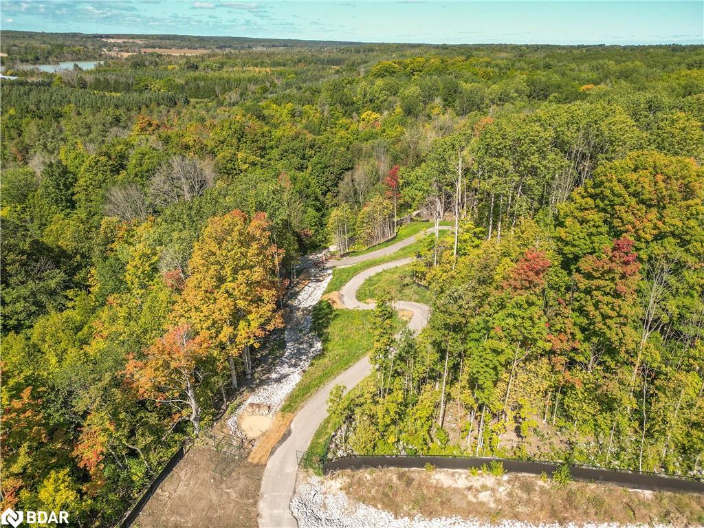 Lot 2 Cottonwood Street Property Photo 18