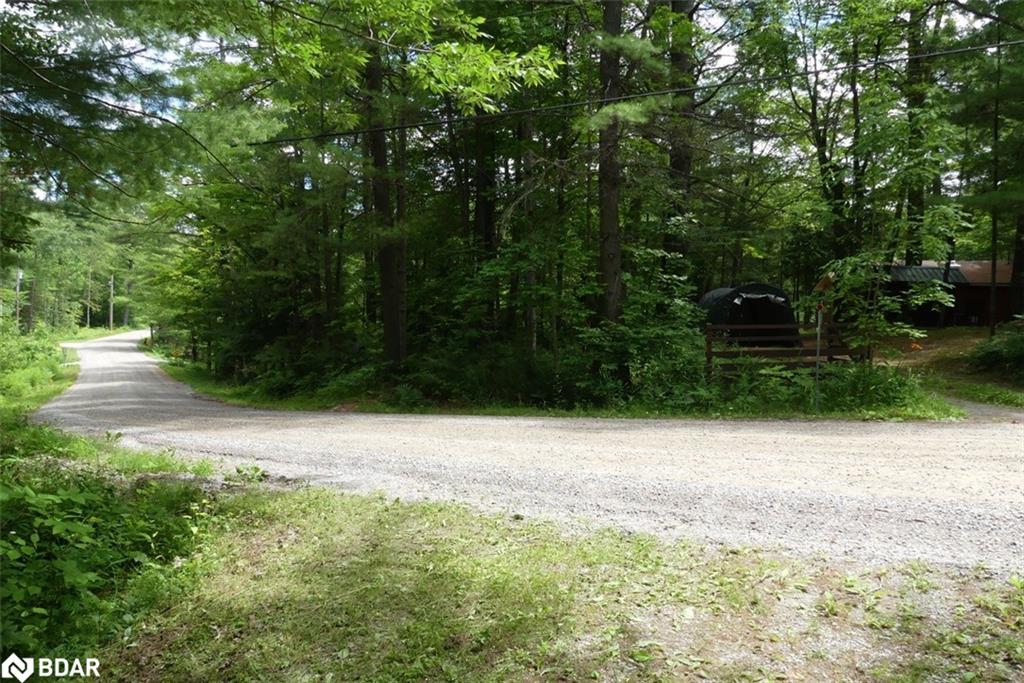 53 Property Photo 6