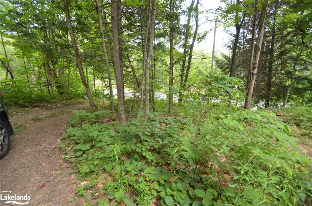 0 Livingstone Lake Road Property Photo 3