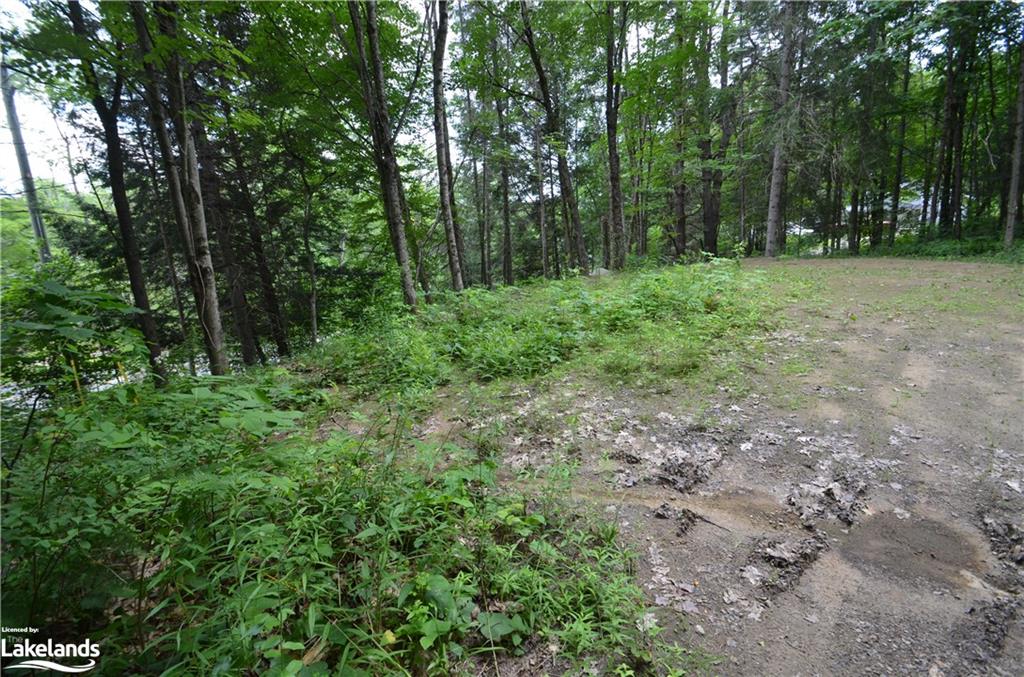 0 Livingstone Lake Road Property Photo 4