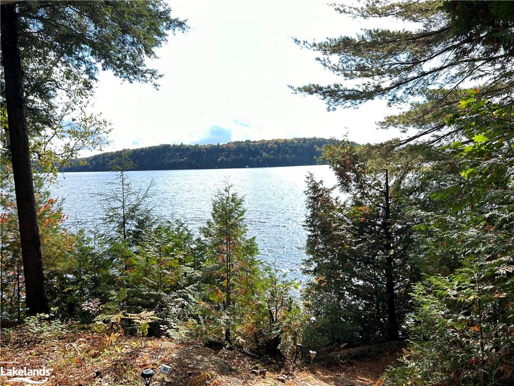 19305 Kawagama - North Shore Property Photo 3