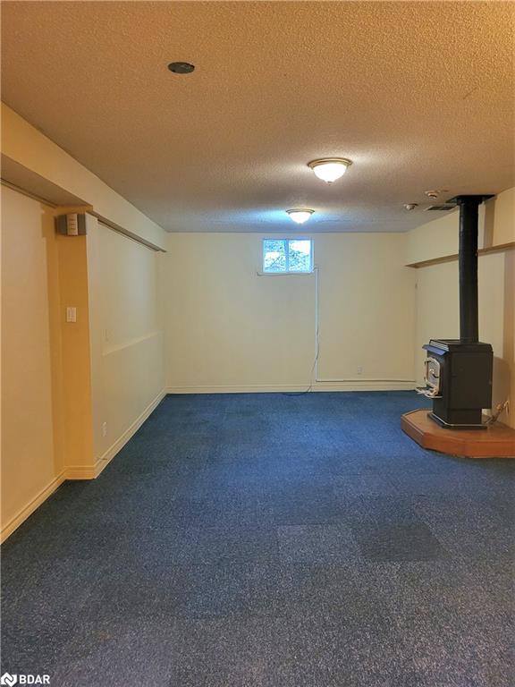 3818 Harry's Lane Property Photo 11