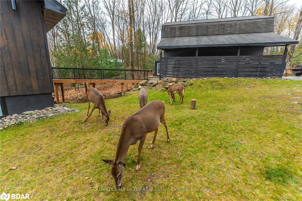 1035 Graydon Lane Property Photo 3