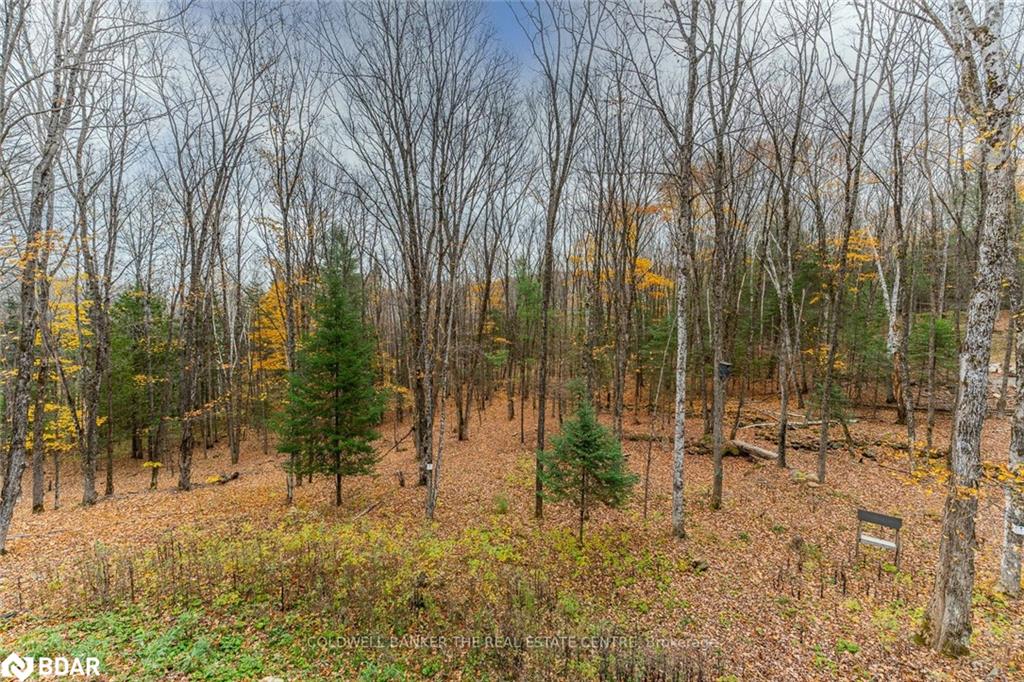 1035 Graydon Lane Property Photo 38