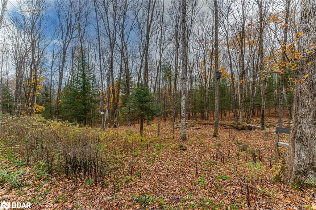 1035 Graydon Lane Property Photo 39