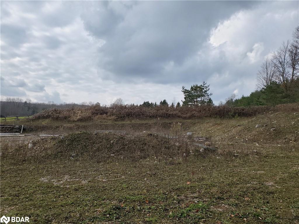 Pt Lot 24 8th Sideroad Property Photo 4