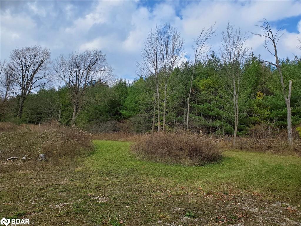 Pt Lot 24 8th Sideroad Property Photo 5