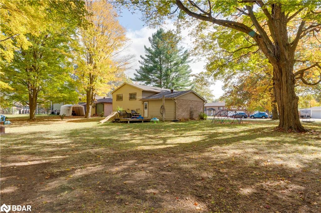 35 Dorcas Avenue Property Photo 3