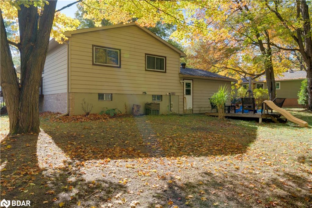35 Dorcas Avenue Property Photo 5