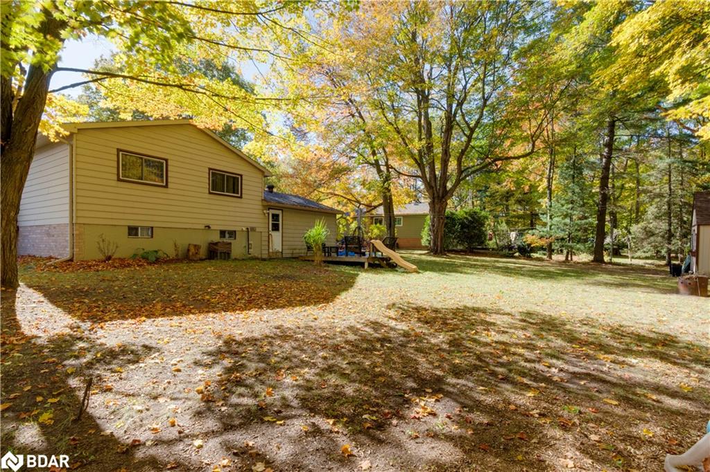 35 Dorcas Avenue Property Photo 6