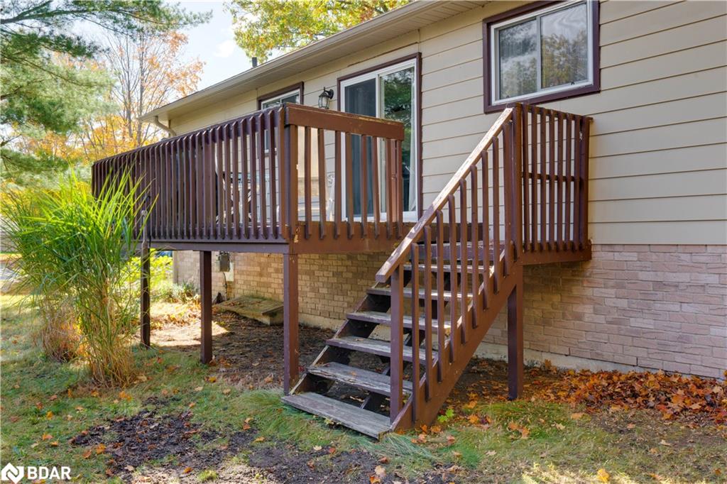 35 Dorcas Avenue Property Photo 7