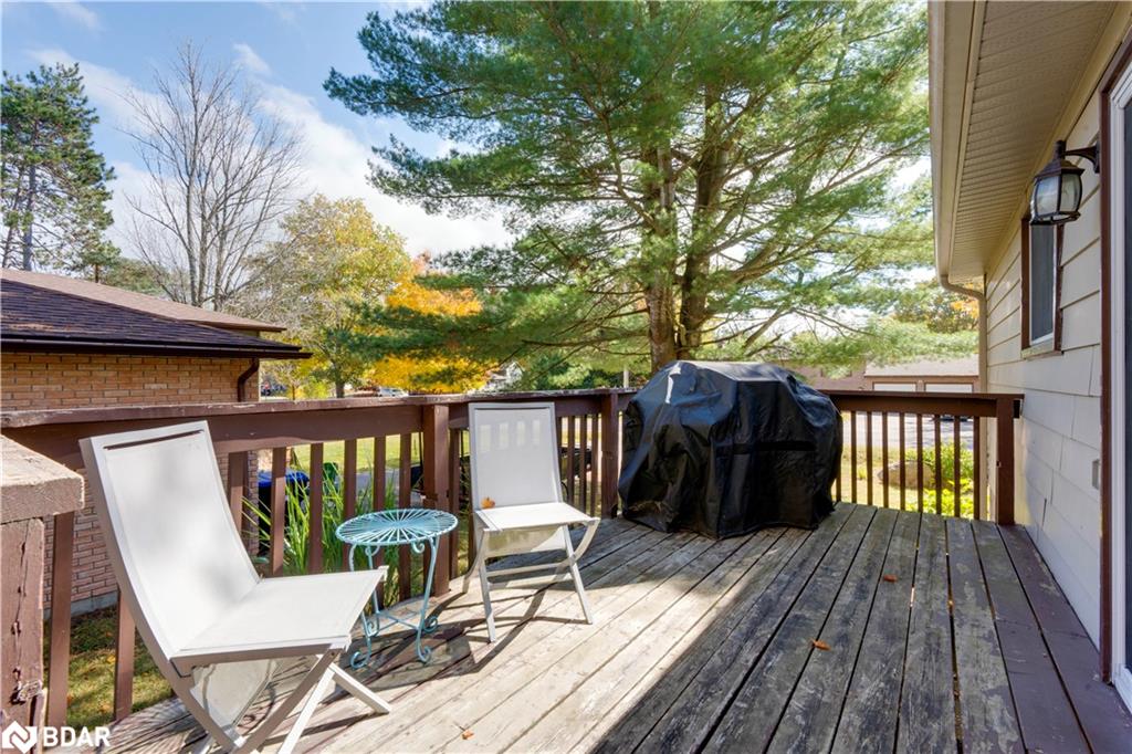 35 Dorcas Avenue Property Photo 9