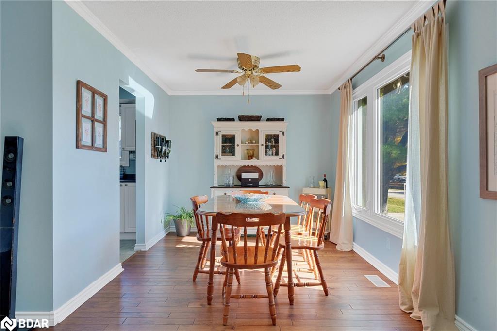35 Dorcas Avenue Property Photo 18