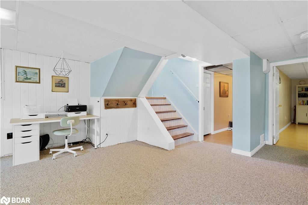 35 Dorcas Avenue Property Photo 36