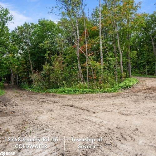 12768 County Rd 16 Road Property Photo 11