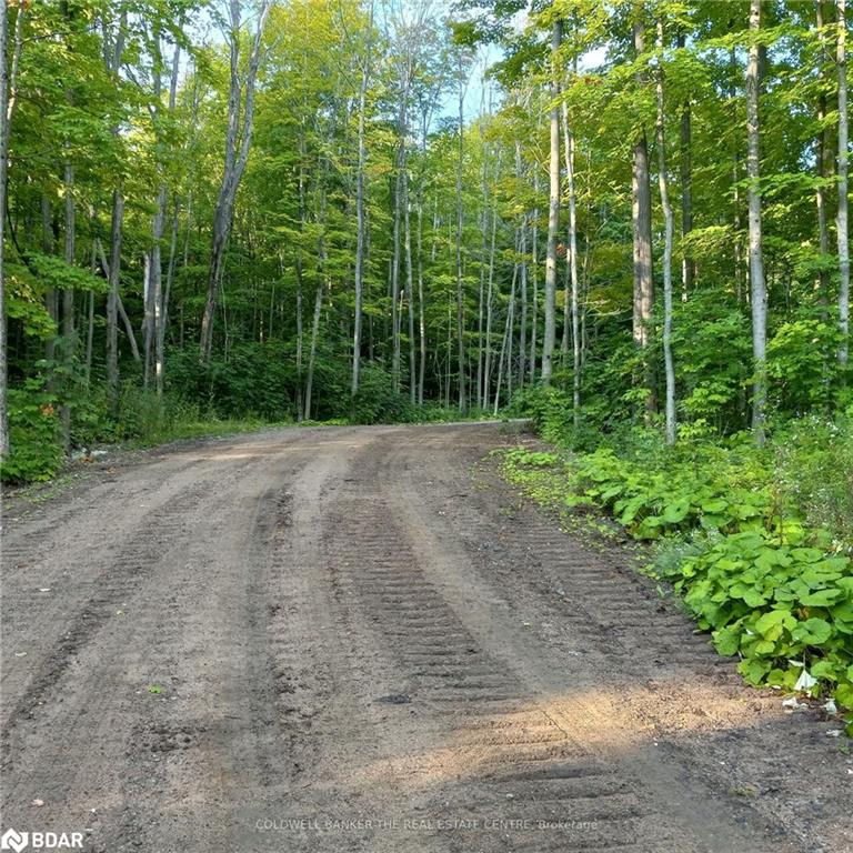 12768 County Rd 16 Road Property Photo 12