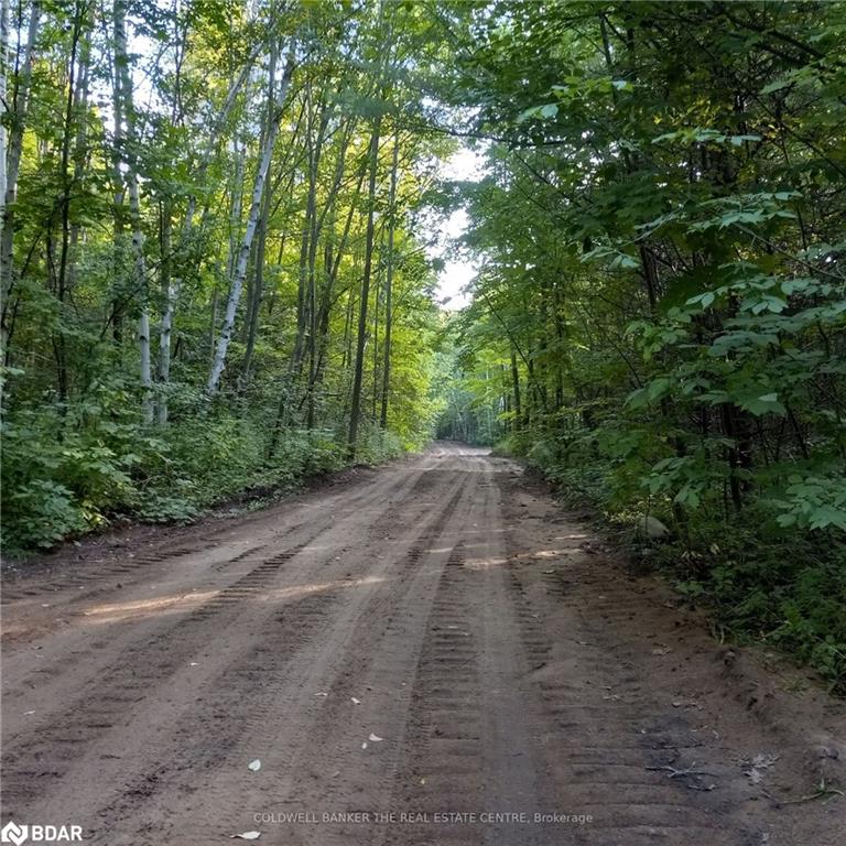 12768 County Rd 16 Road Property Photo 13