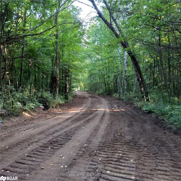 12768 County Rd 16 Road Property Photo 14
