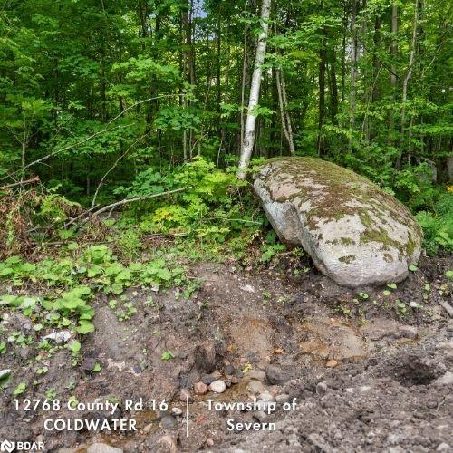12768 County Rd 16 Road Property Photo 18