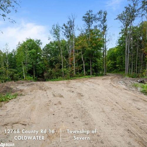 12768 County Rd 16 Road Property Photo 20
