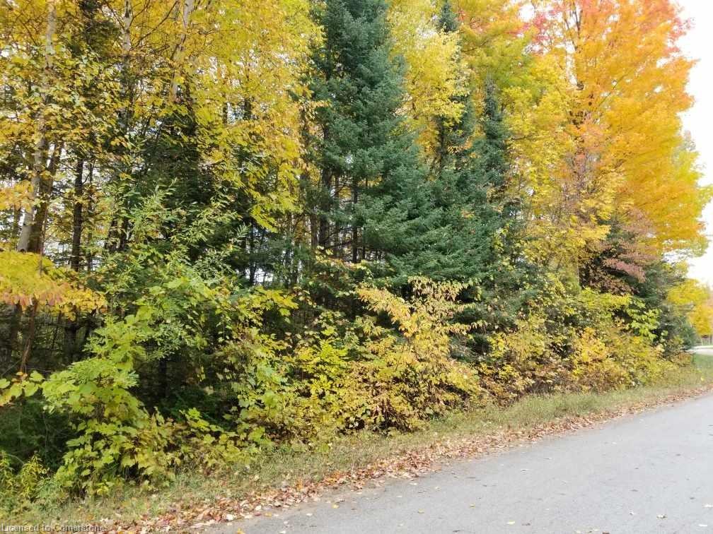 Bruce County Real Estate Listings Main Image