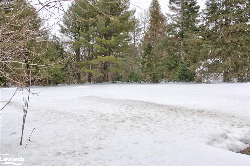 1061 Manitoba Street Property Photo 26