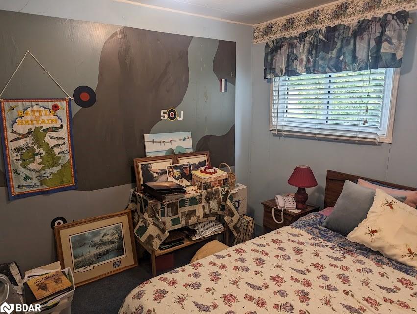 8 Elmwood Court Property Photo 18