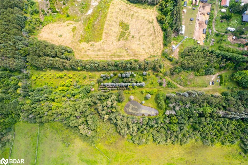 Pt 25 Fourth Line Property Photo 4