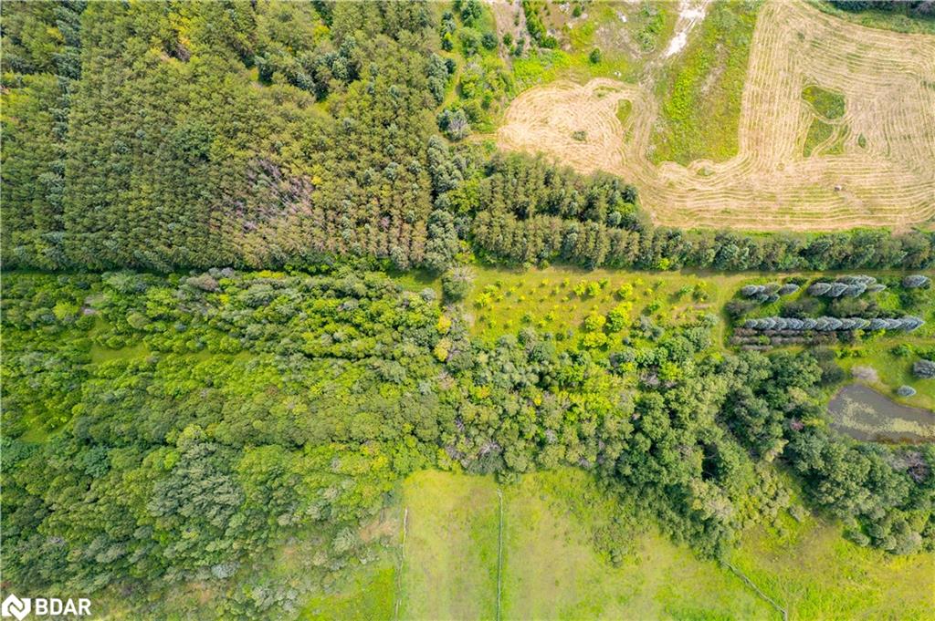 Pt 25 Fourth Line Property Photo 5