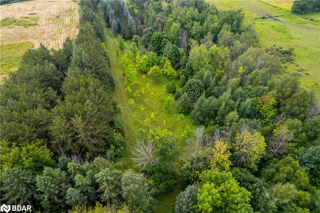 Pt 25 Fourth Line Property Photo 7