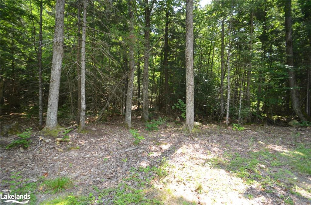 Past 3558 County Rd 8 Property Photo 6