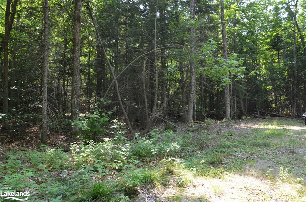 Past 3558 County Rd 8 Property Photo 9