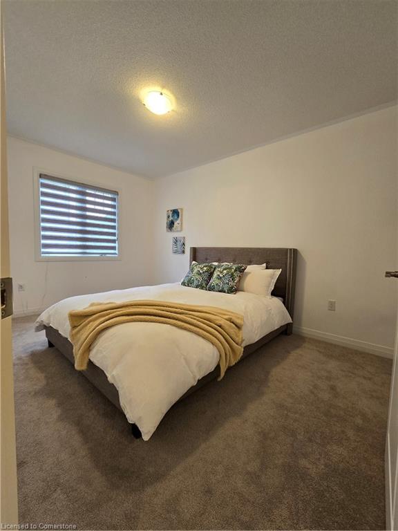 49 Koda Street Property Photo 22