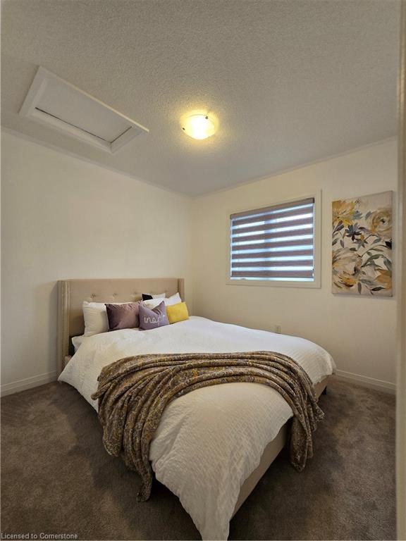 49 Koda Street Property Photo 25