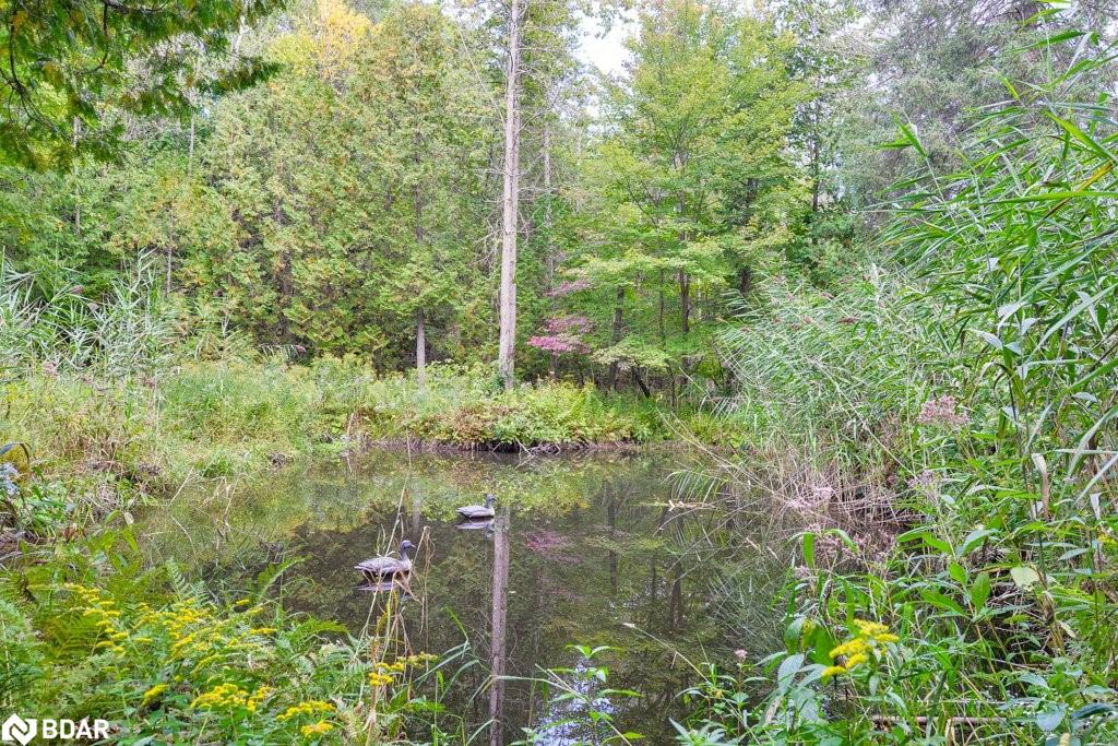 1390 Warminster Sideroad Property Photo 41