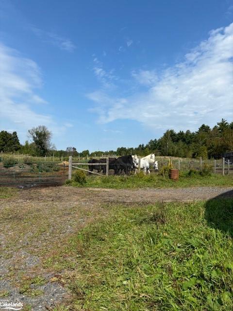 1227 Baseline Road Property Photo 24