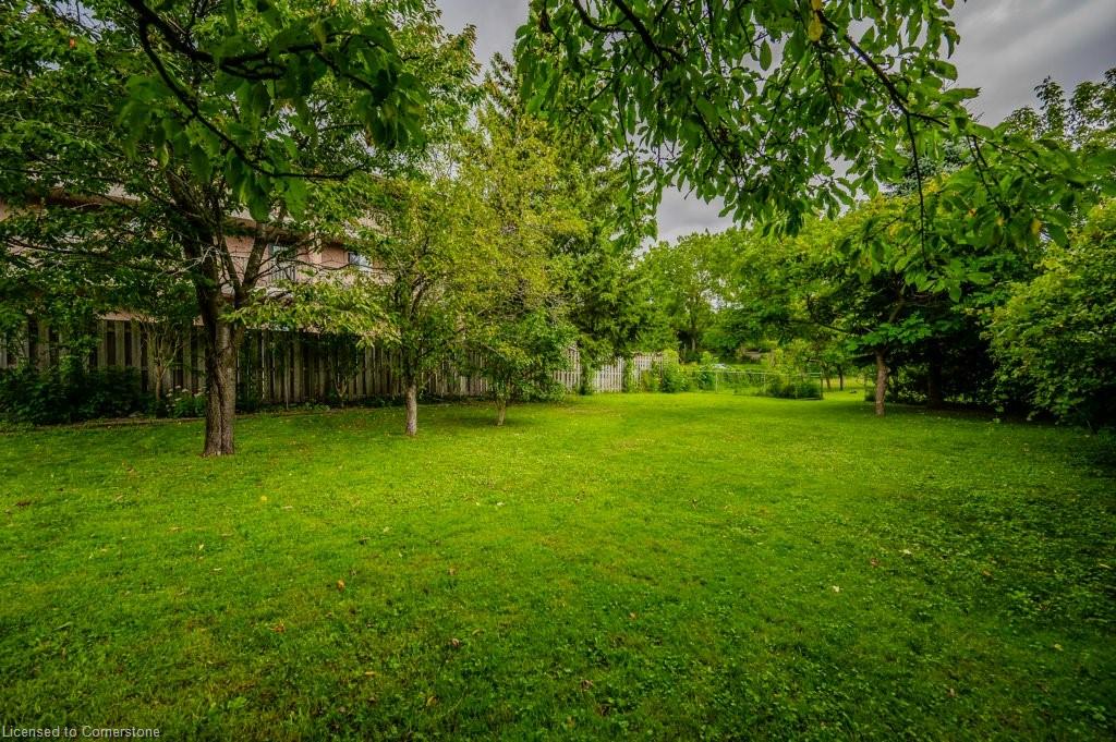 188 Waterloo Street Property Photo 24