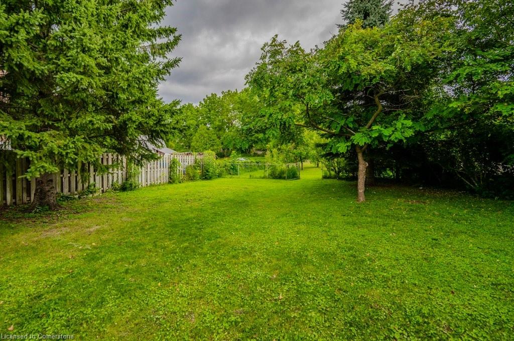 188 Waterloo Street Property Photo 25