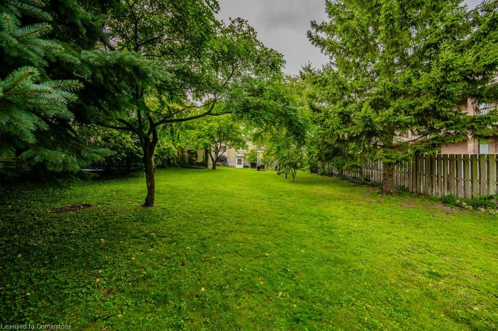 188 Waterloo Street Property Photo 28