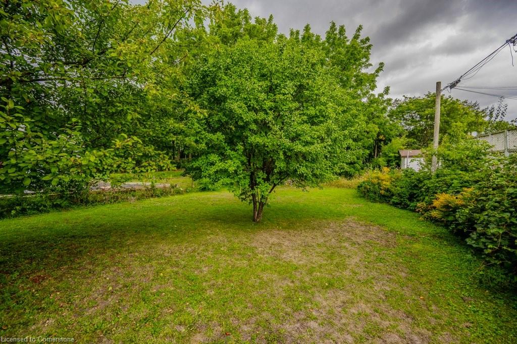 188 Waterloo Street Property Photo 31
