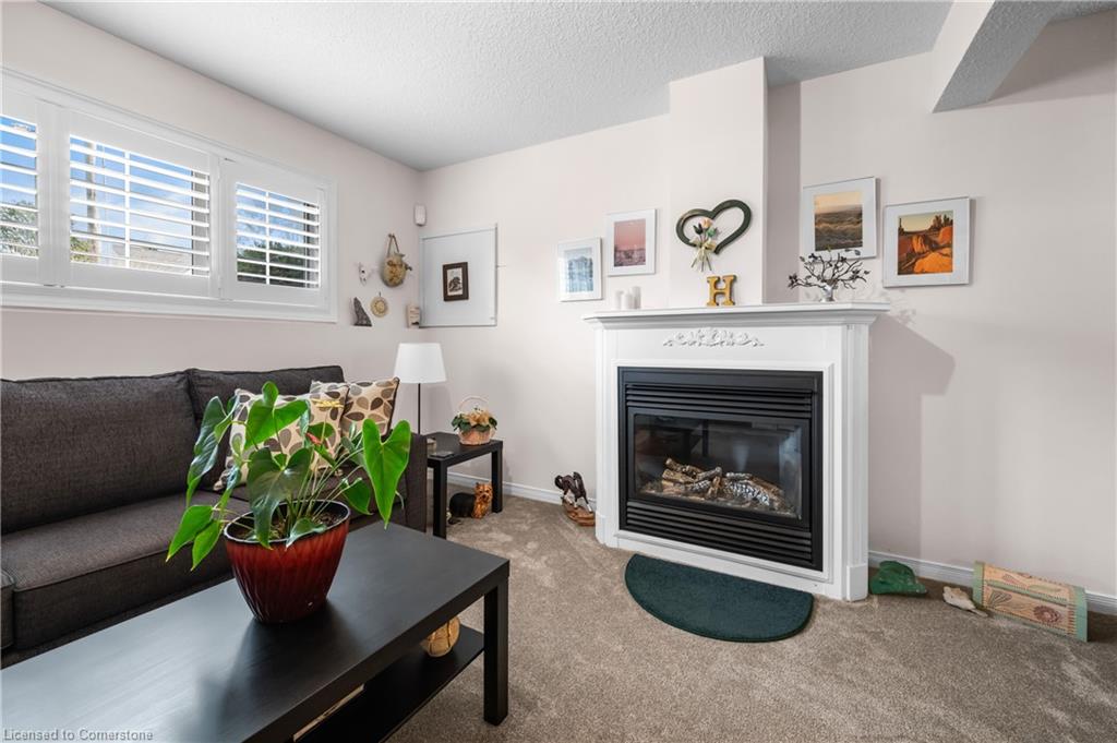 115 Park Street Property Photo 25
