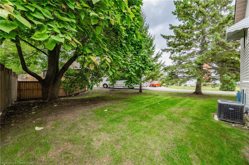 115 Park Street Property Photo 39