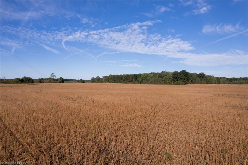 N/a 3rd Conc Road Property Photo 14
