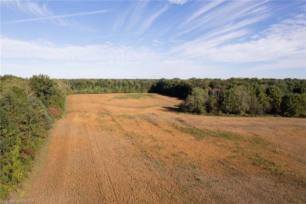 N/a 3rd Conc Road Property Photo 15