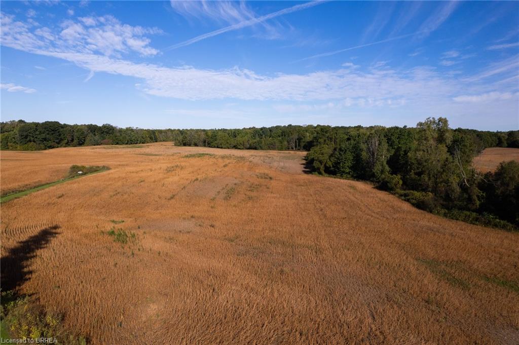 N/a 3rd Conc Road Property Photo 17
